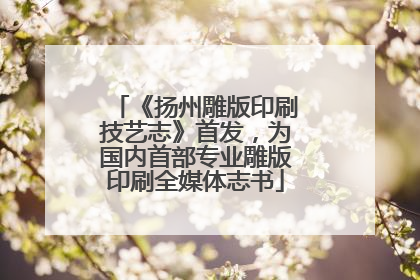《扬州雕版印刷技艺志》首发，为国内首部专业雕版印刷全媒体志书