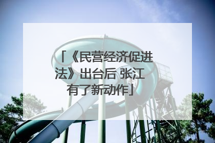 《民营经济促进法》出台后 张江有了新动作