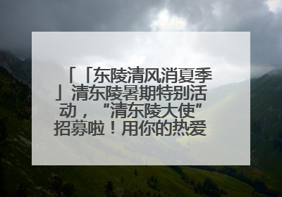 「东陵清风消夏季」清东陵暑期特别活动，“清东陵大使”招募啦！用你的热爱守护世界遗产！