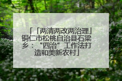 「两清两改两治理」铜仁市松桃自治县石梁乡：“四治”工作法打造和美新农村