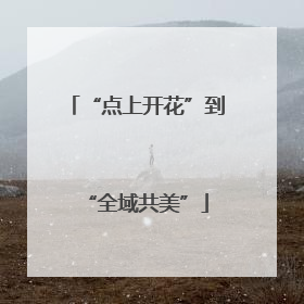 “点上开花”到“全域共美”
