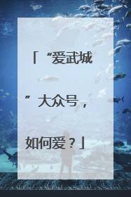 “爱武城”大众号，如何爱？