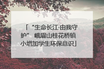 “生命长江·由我守护” 峨眉山桂花桥镇小增加学生环保意识