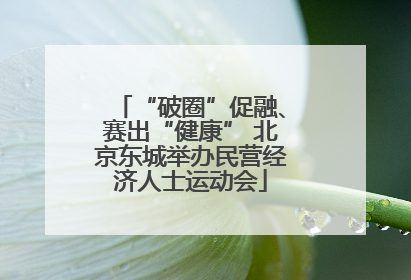 “破圈”促融、赛出“健康” 北京东城举办民营经济人士运动会