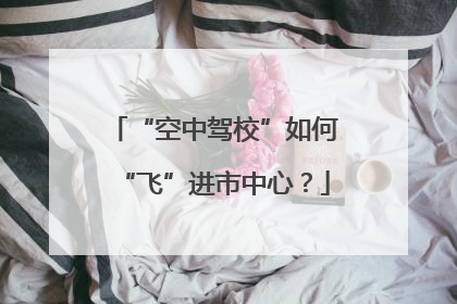 “空中驾校”如何“飞”进市中心？