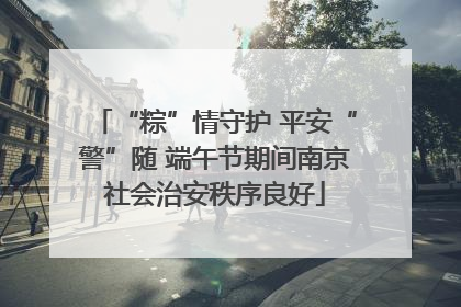“粽”情守护 平安“警”随 端午节期间南京社会治安秩序良好