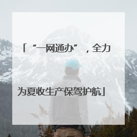 “一网通办”，全力为夏收生产保驾护航
