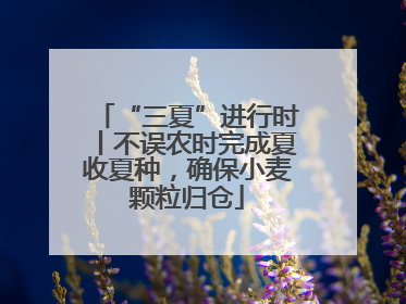 “三夏”进行时丨不误农时完成夏收夏种，确保小麦颗粒归仓