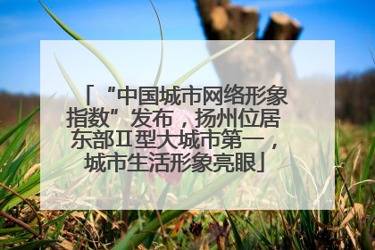 “中国城市网络形象指数”发布，扬州位居东部Ⅱ型大城市第一，城市生活形象亮眼