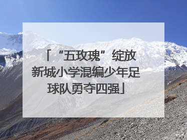 “五玫瑰”绽放 新城小学混编少年足球队勇夺四强