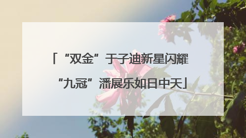 “双金”于子迪新星闪耀 “九冠”潘展乐如日中天