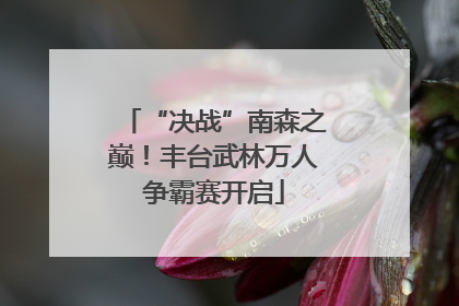 “决战”南森之巅！丰台武林万人争霸赛开启