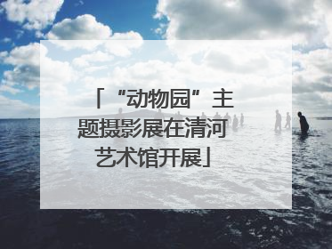 “动物园”主题摄影展在清河艺术馆开展