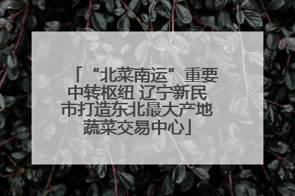 “北菜南运”重要中转枢纽 辽宁新民市打造东北最大产地蔬菜交易中心