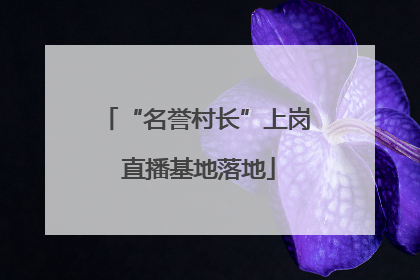 “名誉村长”上岗 直播基地落地