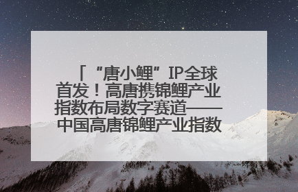 “唐小鲤”IP全球首发！高唐携锦鲤产业指数布局数字赛道——中国高唐锦鲤产业指数暨“唐小鲤”IP全球首发仪式在杭州举行