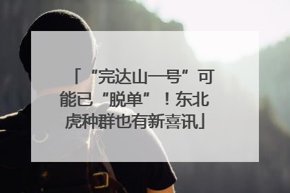 “完达山一号”可能已“脱单”！东北虎种群也有新喜讯