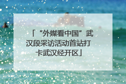 “外媒看中国”武汉段采访活动首站打卡武汉经开区