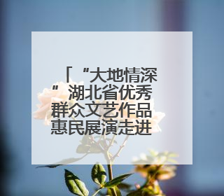“大地情深”湖北省优秀群众文艺作品惠民展演走进咸宁