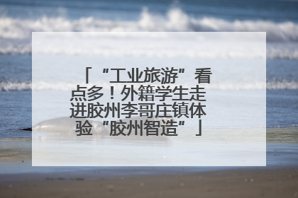 “工业旅游”看点多！外籍学生走进胶州李哥庄镇体验“胶州智造”