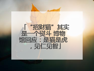 “招财猫”其实是一个熨斗 博物馆回应：是猫是虎，见仁见智