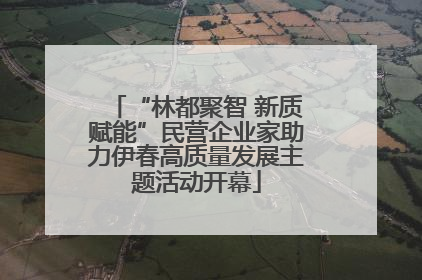 “林都聚智 新质赋能”民营企业家助力伊春高质量发展主题活动开幕
