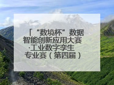 “数境杯”数据智能创新应用大赛·工业数字孪生 专业赛（第四届）全国总决赛及颁奖典礼成功举办