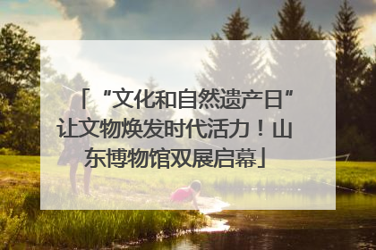 “文化和自然遗产日”让文物焕发时代活力！山东博物馆双展启幕