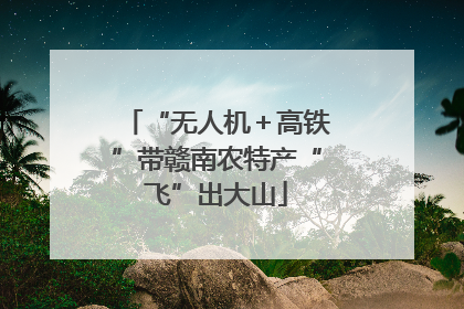 “无人机＋高铁”带赣南农特产“飞”出大山