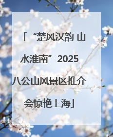 “楚风汉韵 山水淮南”2025八公山风景区推介会惊艳上海