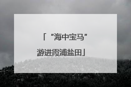 “海中宝马”游进霞浦盐田
