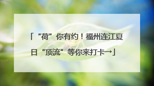 “荷”你有约！福州连江夏日“顶流”等你来打卡→