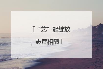“艺”起绽放 志愿相随