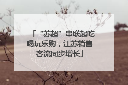 “苏超”串联起吃喝玩乐购，江苏销售客流同步增长
