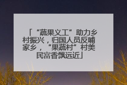 “蔬果义工”助力乡村振兴，归国人员反哺家乡，“果蔬村”村美民富香飘远近