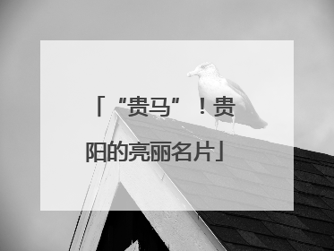 “贵马”！贵阳的亮丽名片