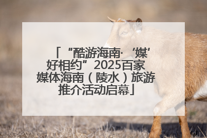 “酷游海南·‘媒’好相约”2025百家媒体海南（陵水）旅游推介活动启幕