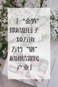 “金笋”撑起甜日子 10万亩方竹“链”起团结富民产业