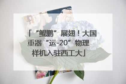 “鲲鹏”展翅！大国重器“运-20”物理样机入驻西工大