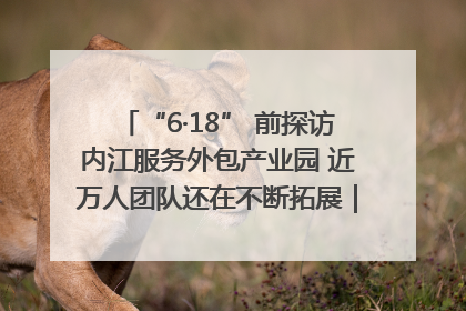 “6·18” 前探访内江服务外包产业园 近万人团队还在不断拓展｜内江东兴“红”在哪⑤