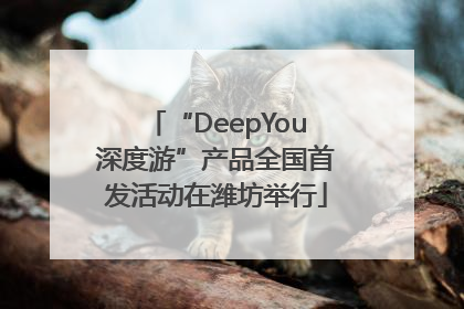 “DeepYou深度游”产品全国首发活动在潍坊举行