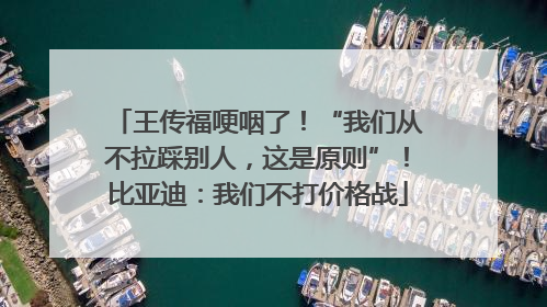 王传福哽咽了！“我们从不拉踩别人，这是原则”！比亚迪：我们不打价格战