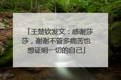 王楚钦发文：感谢莎莎，谢谢不管多痛苦也想证明一切的自己