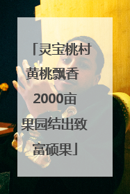 灵宝桃村黄桃飘香 2000亩果园结出致富硕果