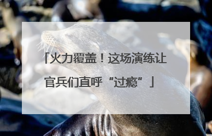 火力覆盖！这场演练让官兵们直呼“过瘾”