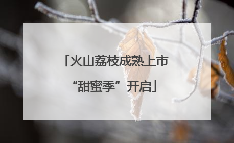 火山荔枝成熟上市 “甜蜜季”开启