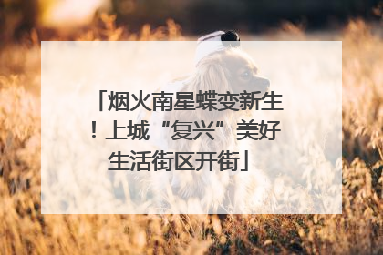 烟火南星蝶变新生！上城“复兴”美好生活街区开街