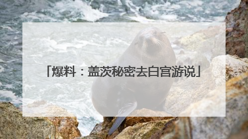 爆料：盖茨秘密去白宫游说