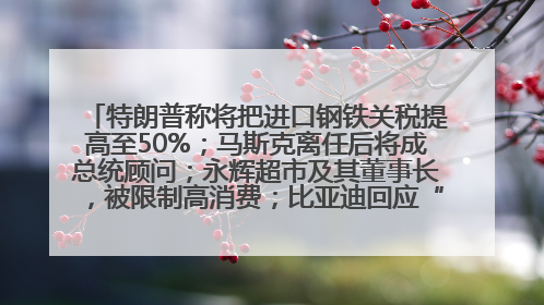 特朗普称将把进口钢铁关税提高至50%；马斯克离任后将成总统顾问；永辉超市及其董事长，被限制高消费；比亚迪回应“汽车圈恒大”丨每经早参