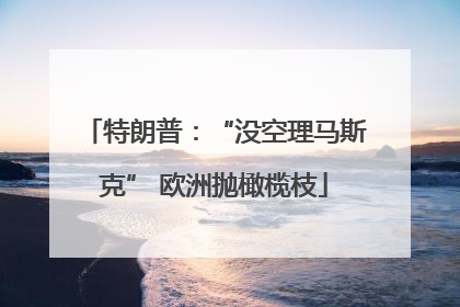 特朗普：“没空理马斯克” 欧洲抛橄榄枝